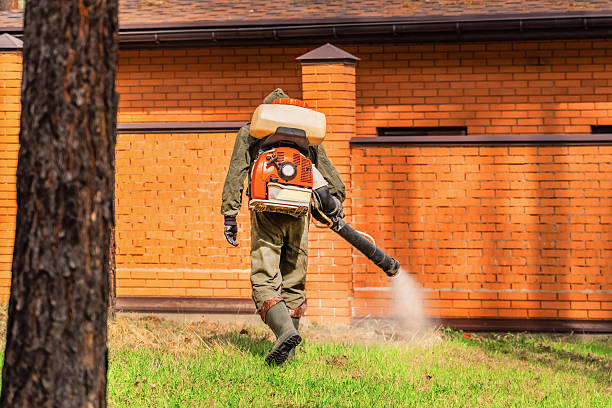 Trusted Emergency Pest Control service in Lake View, AL - Nex Pest Control